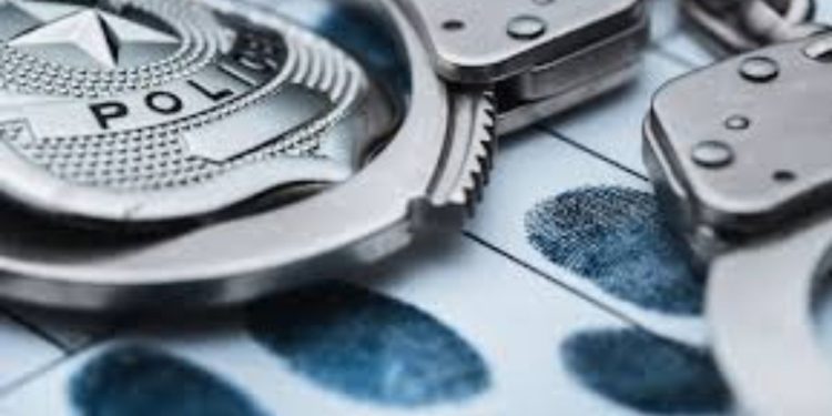 2 Major NY Drug Busts Lead To Scores Of Prison Sentences: State Officials