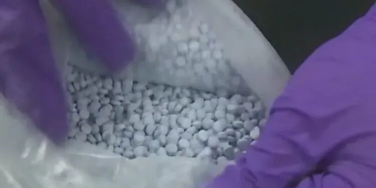 Alpharetta man charged with the largest fentanyl seizure in History Of Georgia