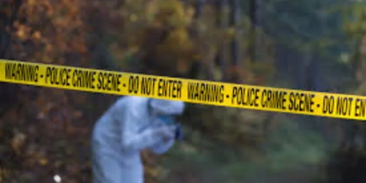 California police discover two bodies in an abandoned truck up in the mountains