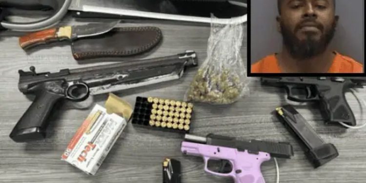 Convicted Felon Detained In Tampa After Traffic Stop Yields Guns And Drugs: Hillsborough County Sheriff