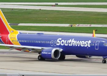 Female Southwest Airlines Passenger Removed Clothes And Used The Bathroom On Her Seat As Plane Landing
