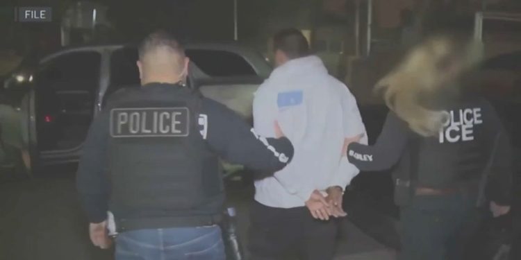 Ice Arrests Over 200 Undocumented Immigrants In Targeted New York City Sting