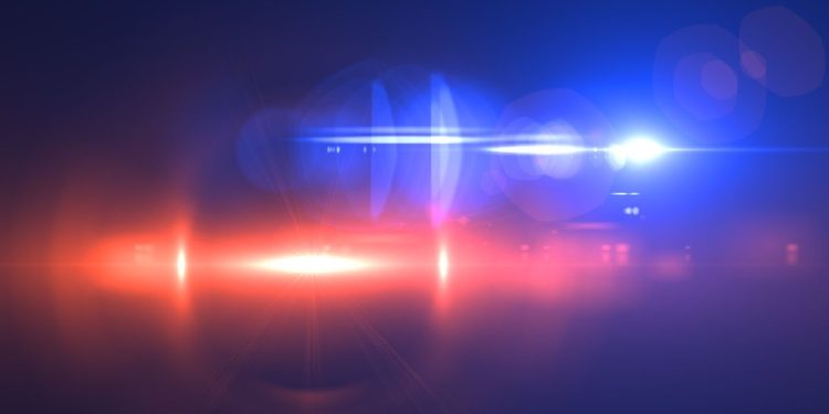 Missing Man And Dog Found Dead In Southern Indiana