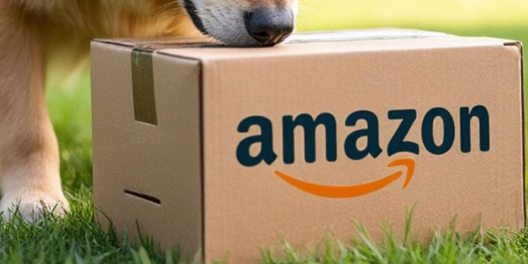 Mysterious Case Of Head Discovered In Amazon Box Remains Unsolved