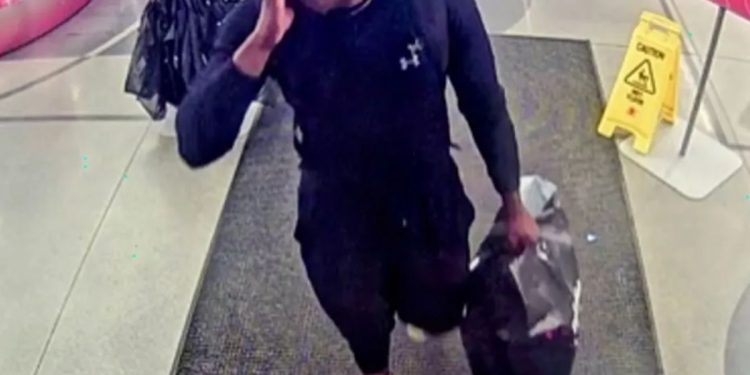 Police: Suspect Caught On Camera Shoplifting Several Expensive Sneakers From South Jersey Store