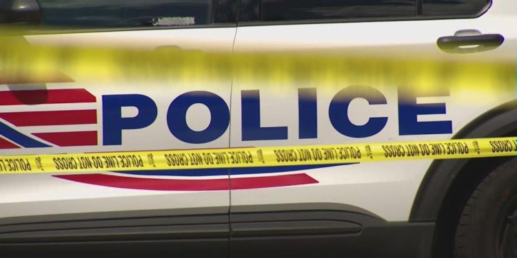 Police: Woman Found Dead In Dumpster Ruled A Homicide