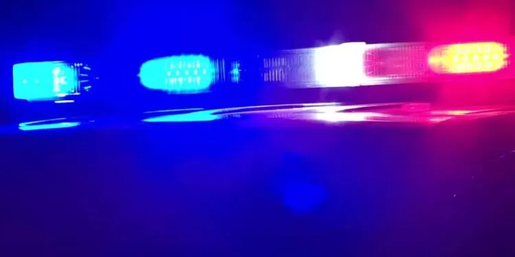 Stepson Allegedly Shoots Stepfather With A Rifle In His Virginia Home