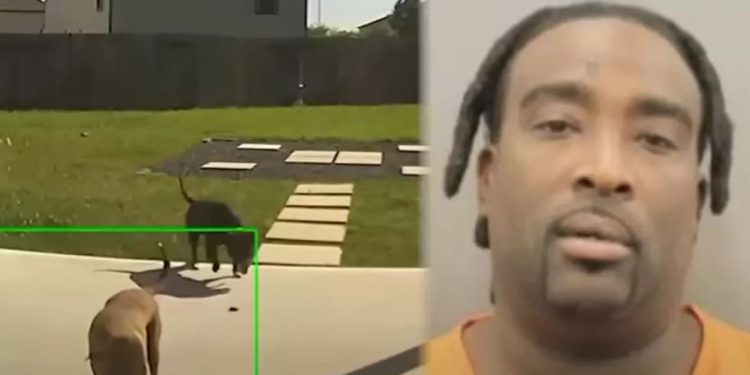 Texas Man Apprehended  After Dogs Fatally Maul Neighbor Who Fought Back With Hammer