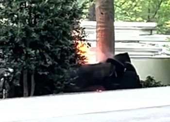 Wife And Husband Died After Tesla Crashes And Catches Fire In Virginia Neighborhood