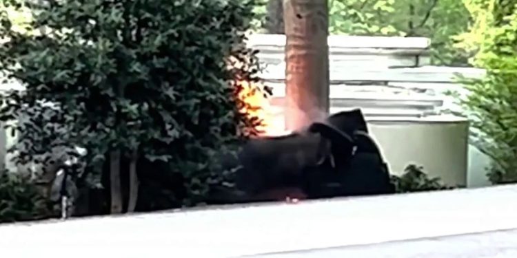 Wife And Husband Died After Tesla Crashes And Catches Fire In Virginia Neighborhood