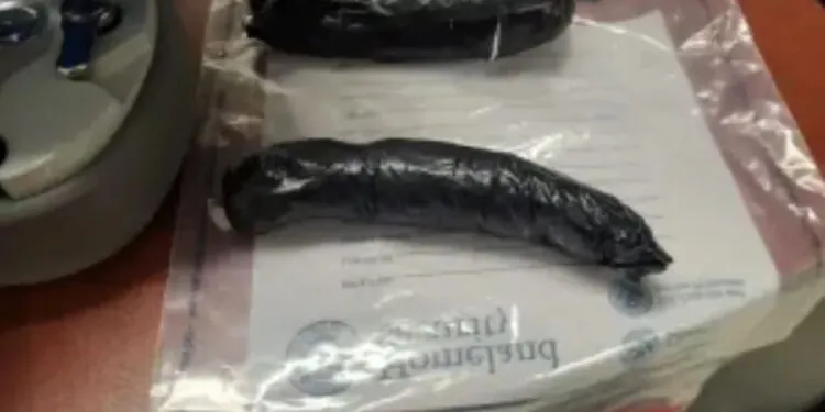 ‘cheeky Smuggler’ Attempts To Cross Texas-mexico Border With Methamphetamine: Officials