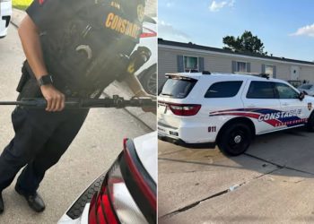 13-year-old Apprehended For Shooting Ducks In Spring Neighborhood