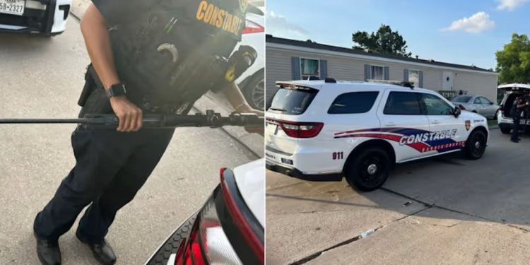 13-year-old Apprehended For Shooting Ducks In Spring Neighborhood