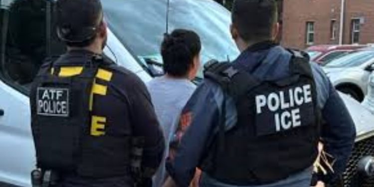 189 illegal immigrants apprehended in DC after federal operation in restaurants and neighborhoods