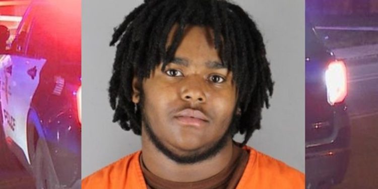 Ambush-style Minneapolis Murder Resulted In 15-year Sentence