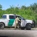 Border Patrol Apprehended 48 People In Louisiana And Mississippi As Trump Immigration Crackdown Widens