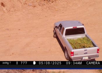 Buckeye Man Faces Possible Fines And Jail Time For Illegally Dumping Debris