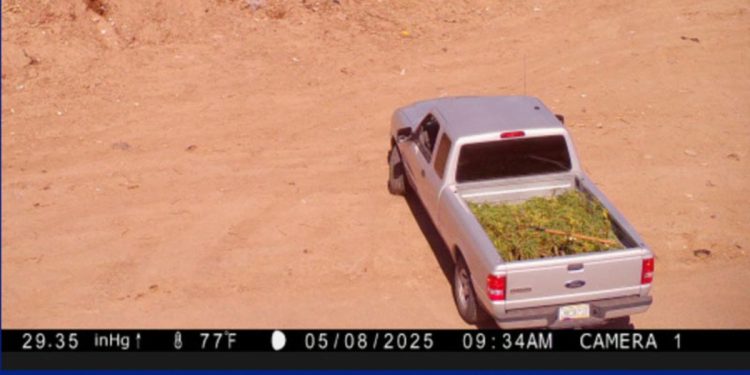 Buckeye Man Faces Possible Fines And Jail Time For Illegally Dumping Debris