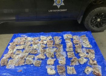 CDFW shuts down illegal lamprey selling operations on the Klamath River