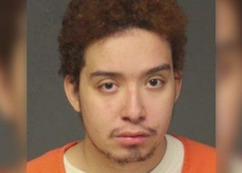 Elderly Woman Dies After Her Family Member, Who Considered The Fiea Treatment She Was Giving To Her Animal Was Harmful And That He Had To Take Action, Killed Her: DA