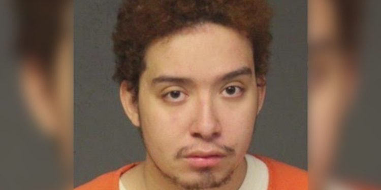 Elderly Woman Dies After Her Family Member, Who Considered The Fiea Treatment She Was Giving To Her Animal Was Harmful And That He Had To Take Action, Killed Her: DA