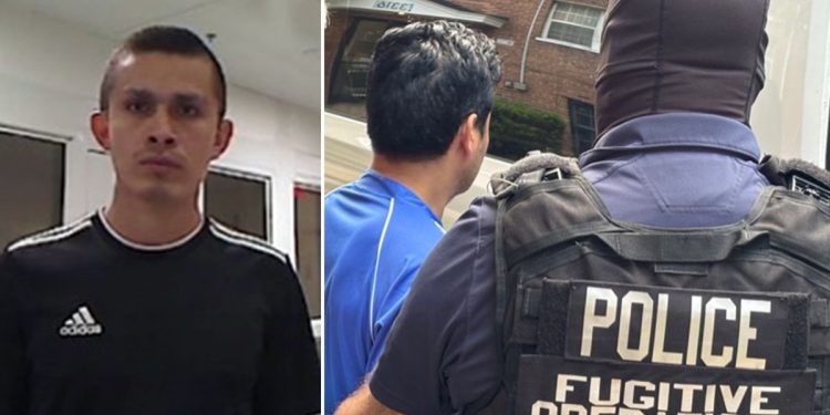 ICE cracks down on DC-area businesses, nearly 200 illegal immigrants apprehended