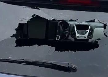 Middletown Woman Shot In The Head While Driving Her Children Home