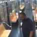 NYPD: Man Raped On No. 1 Subway Train In Manhattan
