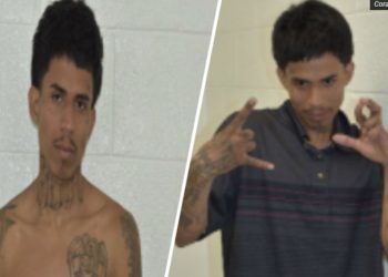 Police: MS-13 gang member arrested in Florida after attempted carjacking