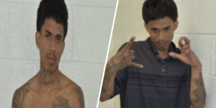 Police: MS-13 gang member arrested in Florida after attempted carjacking