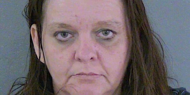 Serial Lowe’s Thief Apprehended After Allegedly Attempting To Steal Batteries At Trailwinds Village