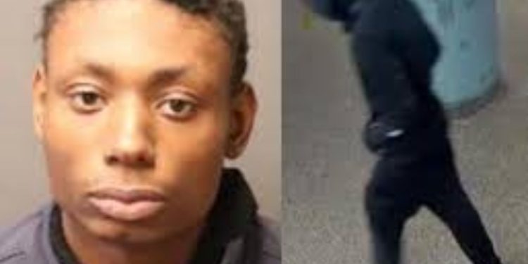 Suspect in violent knifepoint robbery of off-duty NYPD officer is apprehended in Virginia