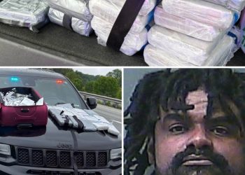 Traffic Stop Leads To Seizure Of 50 Pounds Of Methamphetamine And 16 Kilos Of Cocaine, Arrest Of Florida Man Wanted For Child Molestation
