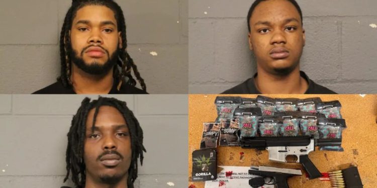 Traffic stop leads to ‘ghost gun’ and drug apprehended on Chicago’s South Side: Cook County sheriff