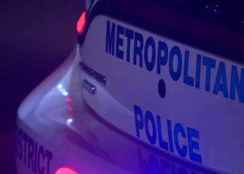 Woman Apprehended After Reportedly Throwing Bottles Of Alcohol At Hotel Guests And Staff While Nude