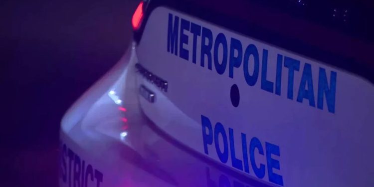 Woman Apprehended After Reportedly Throwing Bottles Of Alcohol At Hotel Guests And Staff While Nude