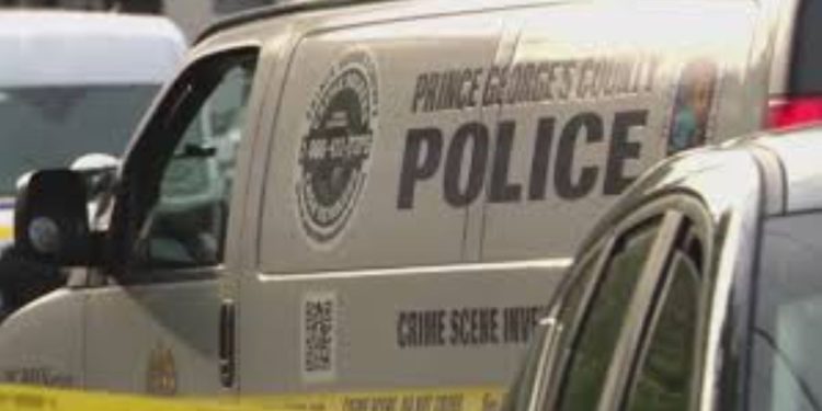 Woman Discovered Shot To Death In Maryland Home