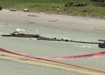 2 Children Injured After Pony-drawn Cart Hits Tractor-trailer, Troopers Say