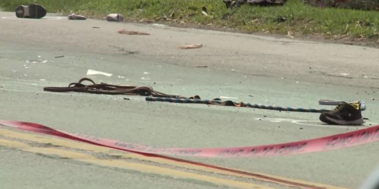 2 Children Injured After Pony-drawn Cart Hits Tractor-trailer, Troopers Say