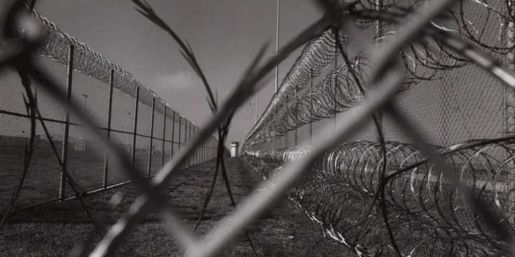 5 Texans Sentenced Up To 40 Years In Prison For $17 Million Fraud Scheme, Including Romance Scams