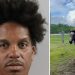 Central Florida Horse Owner Apprehended For Felony Animal Cruelty And Others Also Apprehended
