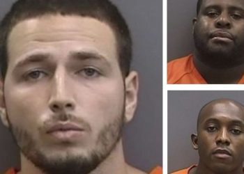 Driver Apprehended for DUI, Friends of Victim Also Apprehended in Central Florida