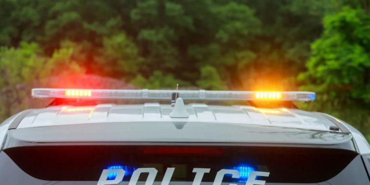 Florida man arrested with stolen car while pumping gas