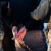 Iranian man apprehended by ICE in Mississippi deemed ‘known or suspected terrorist’