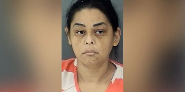 Texas Woman Apprehended For Allegedly Smuggling Illegal Immigrants Hidden Inside Box Truck