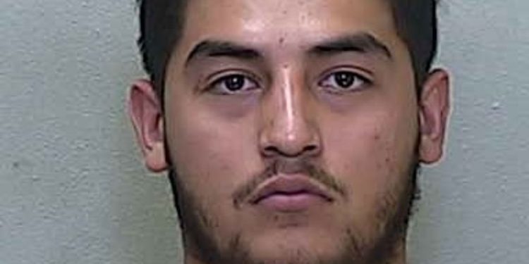 Unlicensed driver from Mexico detained after cardboard debris falls from trailer