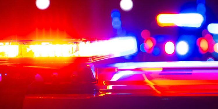 Woman Missing For Months Discovered Buried Under Piles Of Hoarded Trash In Her Own Home