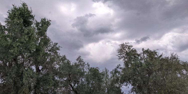 Intense monsoon storms forecast in Arizona After July 4th