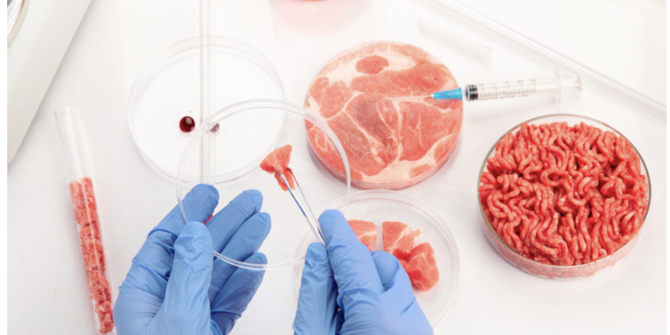 Tennessee Implements New Law Regulating Cell-Cultured Food Products