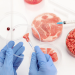 Tennessee Implements New Law Regulating Cell-Cultured Food Products